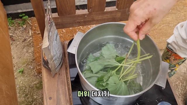 [ENG] 냉장고 파먹기 대신 새봄, 정원 파먹기! 말그대로 정원을 팠어요. 야생나물 여섯가지로 만든 정원 비빔밥! 샐러드인가 비빔밥인가.. 과연 그 맛은?? смотреть онлайн