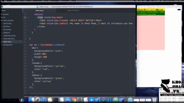 Bài 8: STYLESHEET Phần 2 - Lập Trình REACT NATIVE Tại Khoa Phạm смотреть онлайн