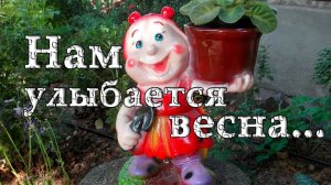 Нам улыбается весна  *   Мой сад