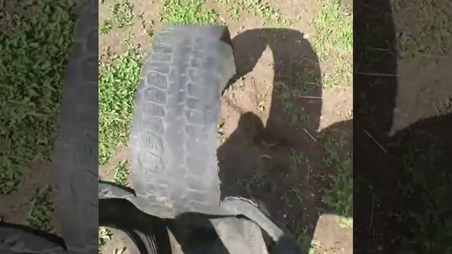 Лебедь из покрышки смотреть онлайн