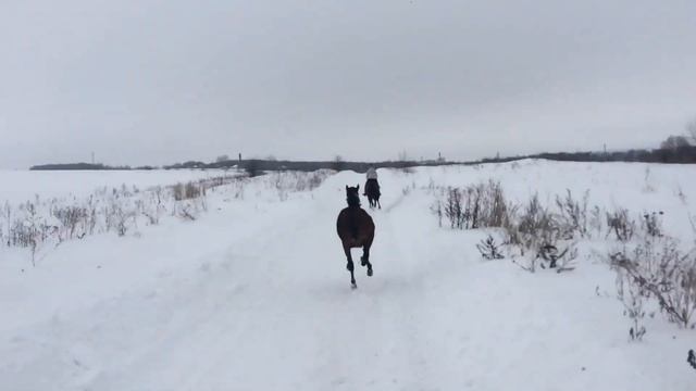 Проскакали галопом все вместе смотреть онлайн