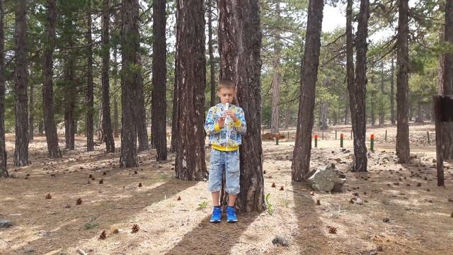 Блокфлейта в горах Кипра. Олимп. Весна 2018. Песенка смотреть онлайн