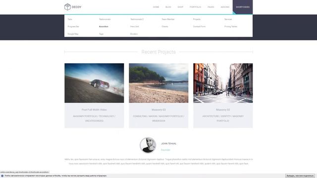 Decoy - Responsive Multi-Purpose WordPress Theme смотреть онлайн