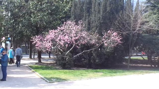 Крым в ожидании туристов смотреть онлайн