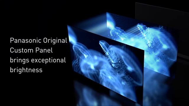 OLED PRO HCX Processor PRO AI | Picture Quality смотреть онлайн