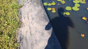 Пленка Винилит. Стоит ли использовать при строительстве пруда?