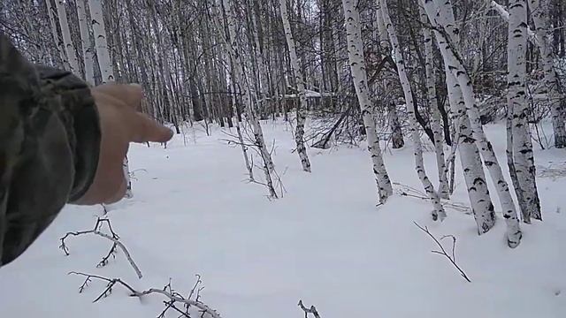 Кормим косуль2! смотреть онлайн