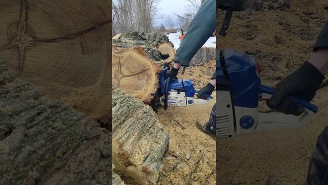 Бензопила Zomax ZM 6510