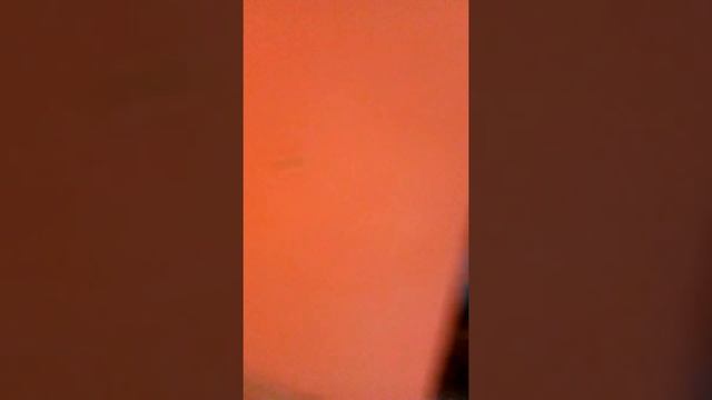 крашу,шпаклюю,как могу,ремонт дачи,делаю сама