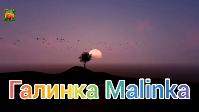 Многомама/Праздник живота или таможня дает добро /Обзор Влогов /Обзор / смотреть онлайн