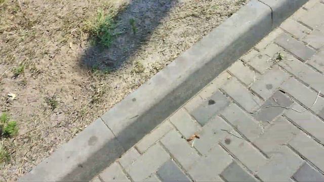 как помыть бесплатно скутер на мойке смотреть онлайн