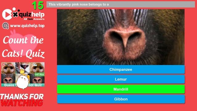 Guess The Animal Quiz Answers 100% | Earn +47 Rbx | Quiz Factory смотреть онлайн