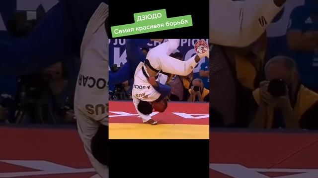 #judo #дзюдо #спорт смотреть онлайн
