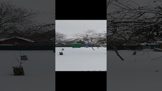снег в Подмосковье