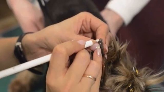 Креативный груминг смотреть онлайн