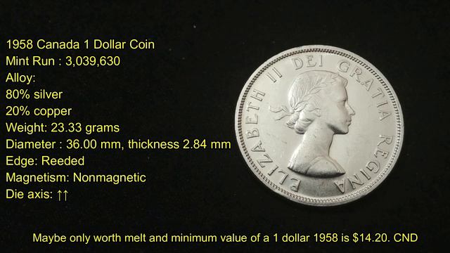 Office/Store Clean Up Find Canadian Silver Dollar 80 %