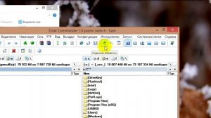 Восстановление скрытых файлов и папок на флешке после вируса