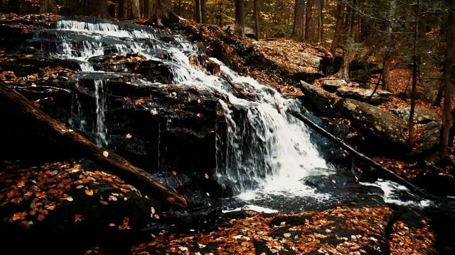 Музыка для Сна ( БЕЗ РЕКЛАМЫ ) ? От бессонницы ? релакс