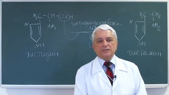 12:00 Патология обмена аминокислот 3 смотреть онлайн