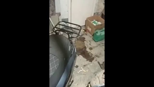 #wallaroo #honda #gts #vespa #keeway #flash #hondatuning смотреть онлайн