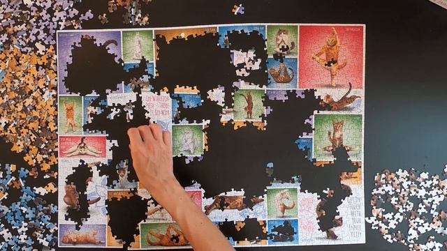 Smart Cut 1000 Pieces Jigsaw Puzzle Time Lapse - Yoga Cats - Eurographics Puzzle смотреть онлайн