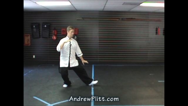 (76/93) Yang Tai Chi 108 Form: Movements 79 - 86 (Yang Shi #Taijiquan)  #Taiji