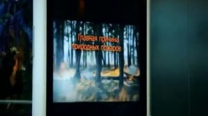 1 марта - Всемирный день гражданской обороны