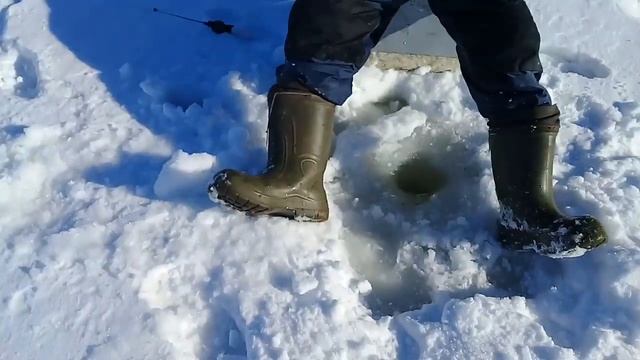 Хроники. Рыбалка 24.02.2019 Сурское Ленинка смотреть онлайн