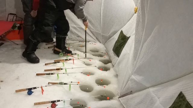 ЗАПУСК ОСЕТРА И КРУПНОГО ТОЛСТОЛОБИКА В КОКИНО! смотреть онлайн