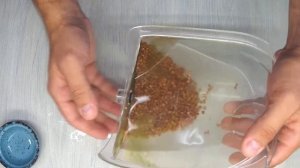 Как отмыть канистру от зеленого налета быстро и просто