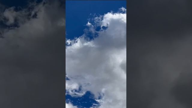 Сладкий лиман. Рыбалочка Монтаж в мобильном приложении #рыбалка #сладкийлиман #отдых #видеоназаказ смотреть онлайн