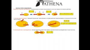 Термех для чайников. Основы теоретической механики