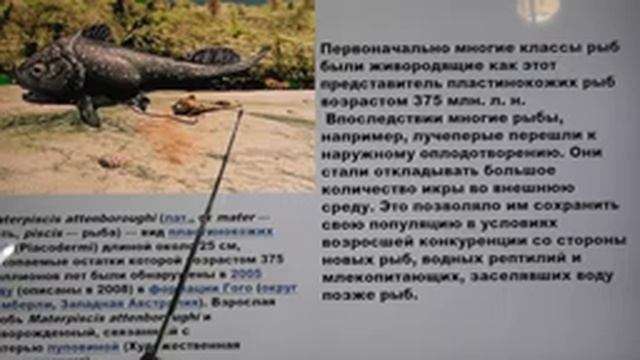 Морской дьявол: инволюция. Тайны морей. Александр Белов 12 10 2020 смотреть онлайн