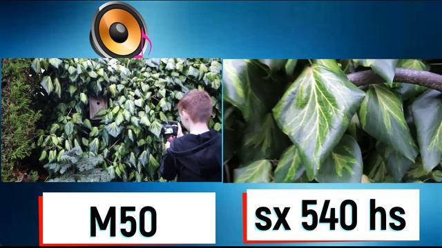 Canon EOS M50 VS Canon sx 540 hs zoom test/DAY and NIGHT and more//vloggingtime смотреть онлайн