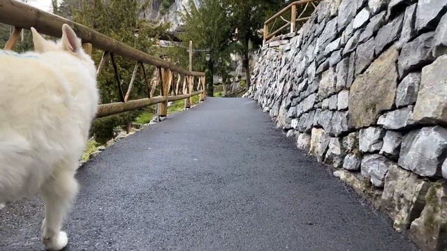 Interlaken's Beatushöhlen Caves: A 4k Swiss Wonder смотреть онлайн