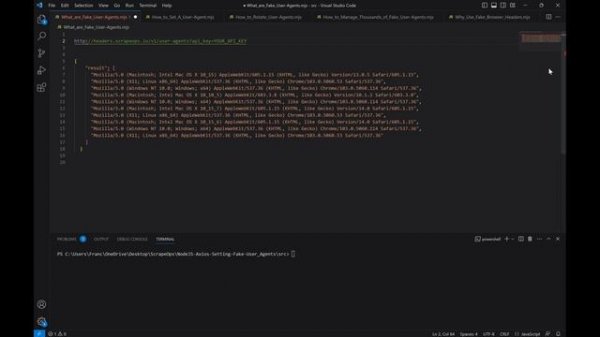 Axios: Setting Fake User-Agents