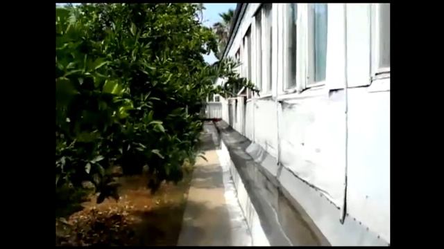тартус сирия смотреть онлайн
