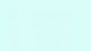 Mio mao // rain world animation ( rivulet and spearmaster )