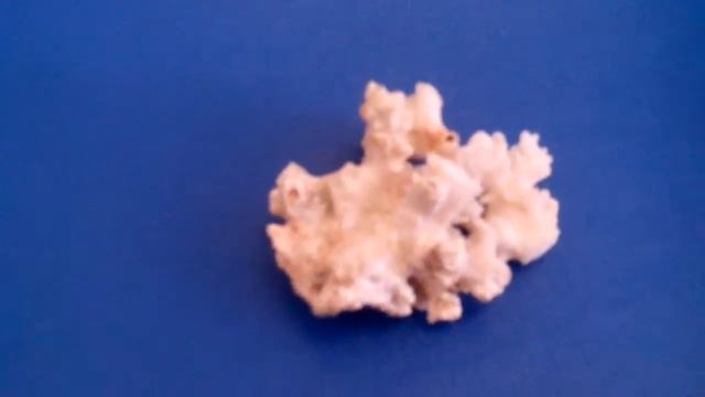 корзина с еловыми шишками 4 смотреть онлайн