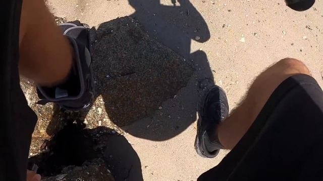 Fishing w/ MUD MINNOWS off the BEACH!! (Saltwater Fishing) смотреть онлайн