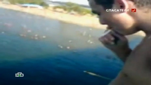 Самая нелепая смерть смотреть онлайн