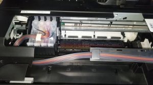 Epson xp-352 error E-01(000031)