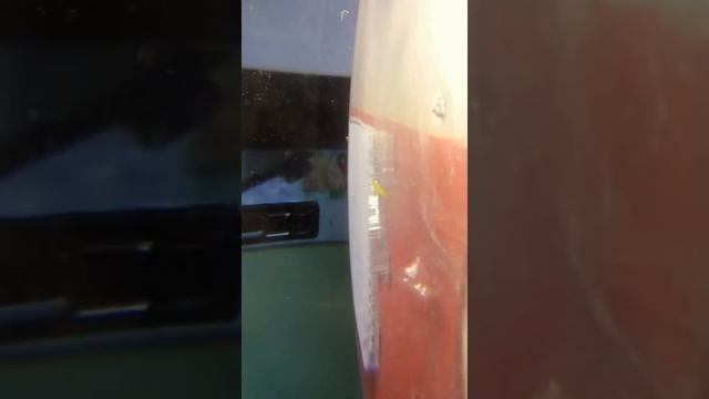 Улитки дома смотреть онлайн