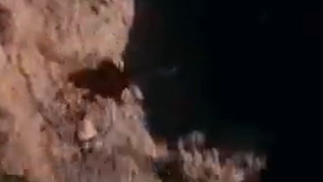Golden Eagle flies away with a goat. смотреть онлайн