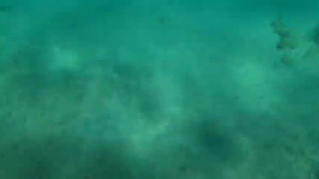 Египет Сьёмки под водой смотреть онлайн