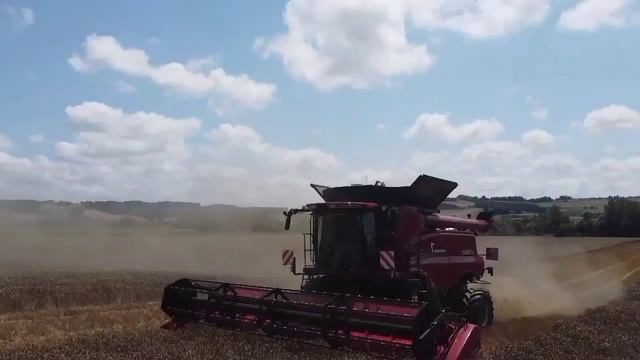 Moisson 2021 avec une case 6150 axial-flow. смотреть онлайн