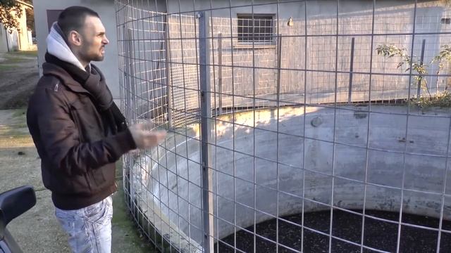 Искусственное покрытие почвы (ПОЛНАЯ ВЕРСИЯ) смотреть онлайн