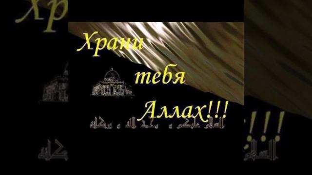 Чеченская песня смотреть онлайн