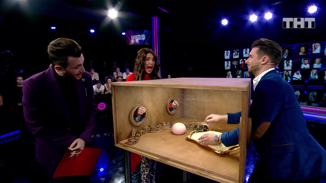 Дом-2: Испытание питоном смотреть онлайн