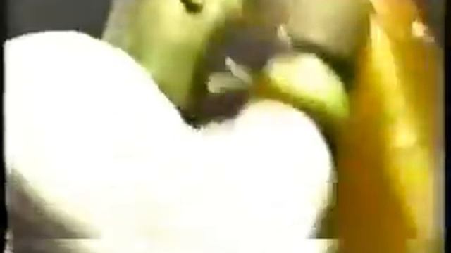 Mike Tyson's Daily workout смотреть онлайн